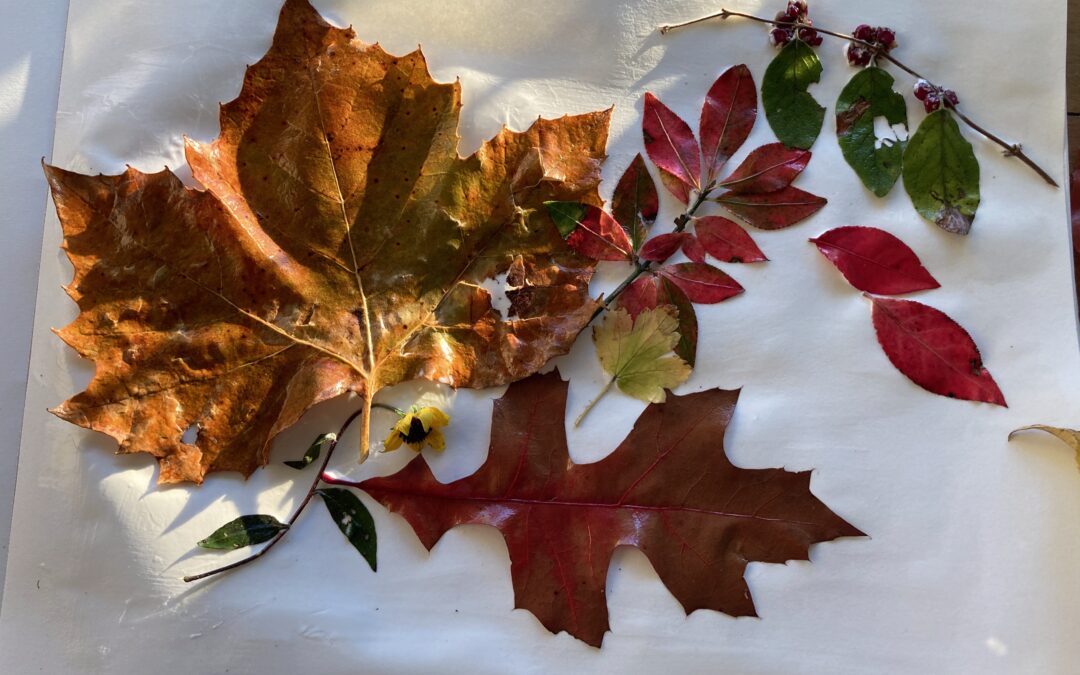 A Space for the Stories